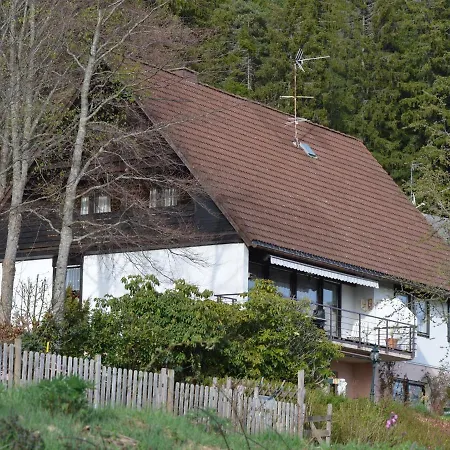 Scenic In Lenzkirch With Bikes, Balcony *